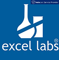 Excel Lab
