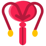 Gynaecologist